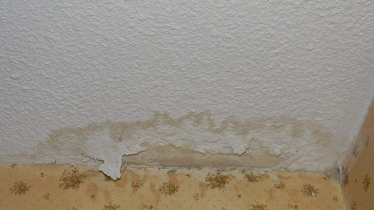 Water stain and peeling paint on a ceiling and wall corner from water damage