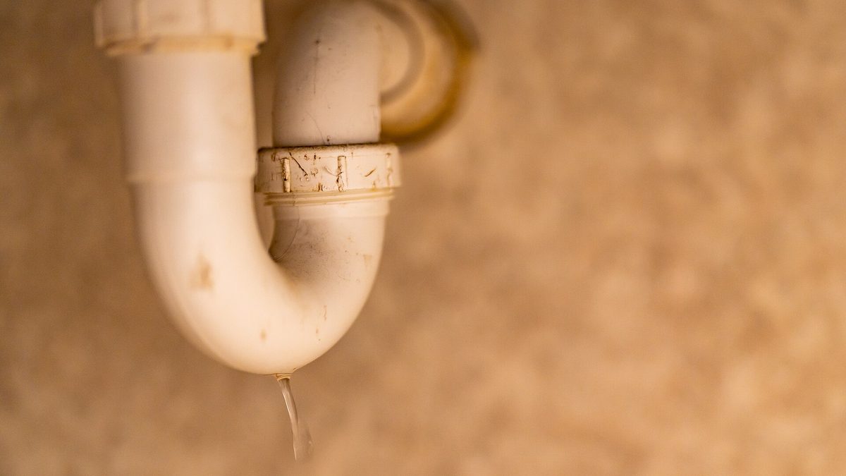 A leaking pipe fitting drips water at the P-trap under a home bathroom sink