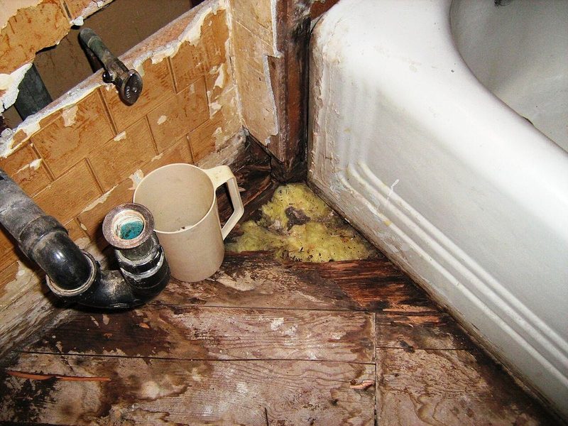Rotted subfloor and soaked insulation exposed under a bathtub after a long-ignored leak