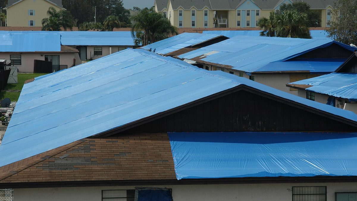 Storm-damaged roofs covered in blue tarps, the kind of damage that sends homeowners searching for a water damage contractor