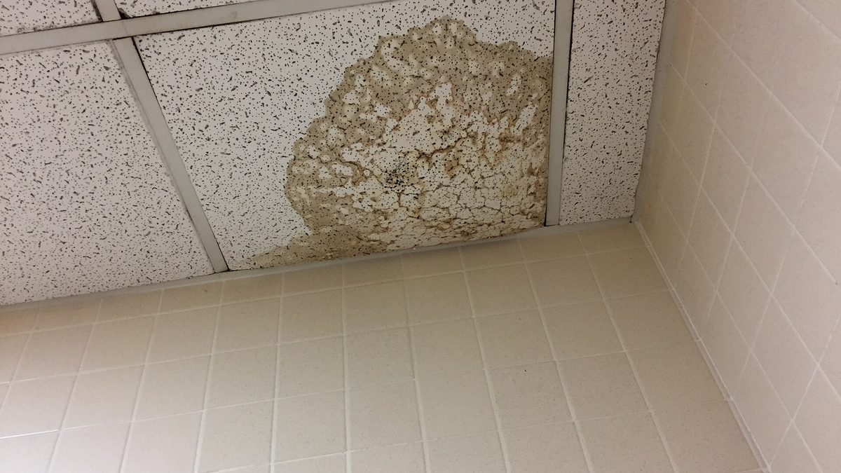 Brown water dripping down a wall and ceiling corner from a hidden leak