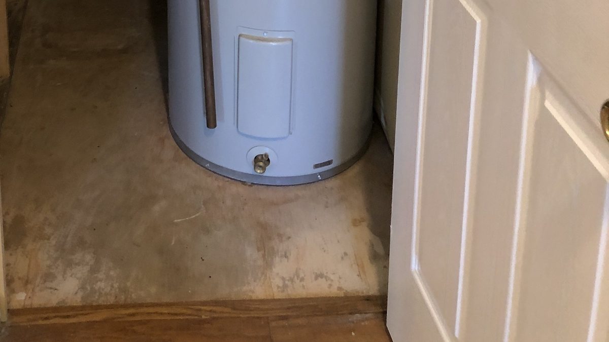 The drain valve at the base of a residential water heater tank, where a leak from the bottom often starts